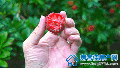 中宇魅力城