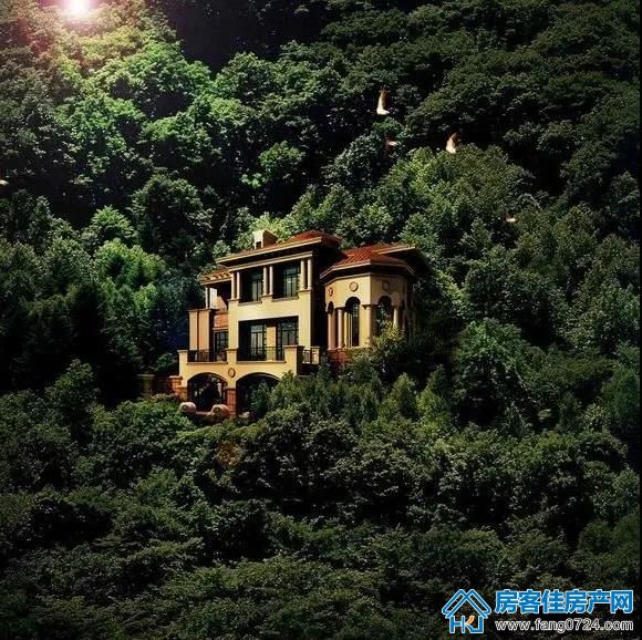 玲珑紫悦蓝山 玲珑紫悦蓝山