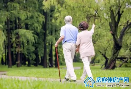洋丰·凤凰香醍 洋丰·凤凰香醍