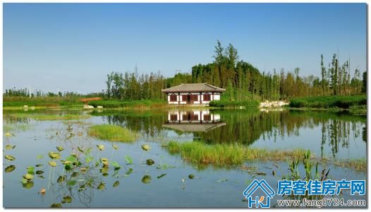 凤凰湖湿地公园 凤凰湖湿地公园
