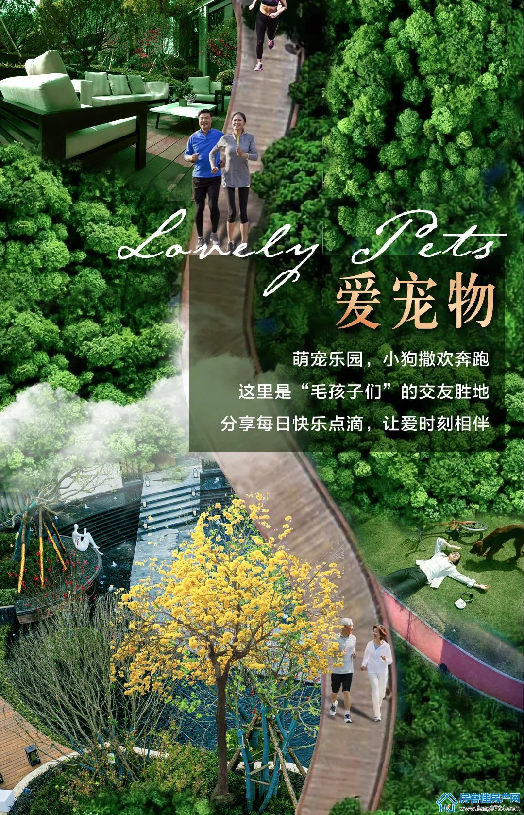 新鸥鹏教育城 新鸥鹏教育城