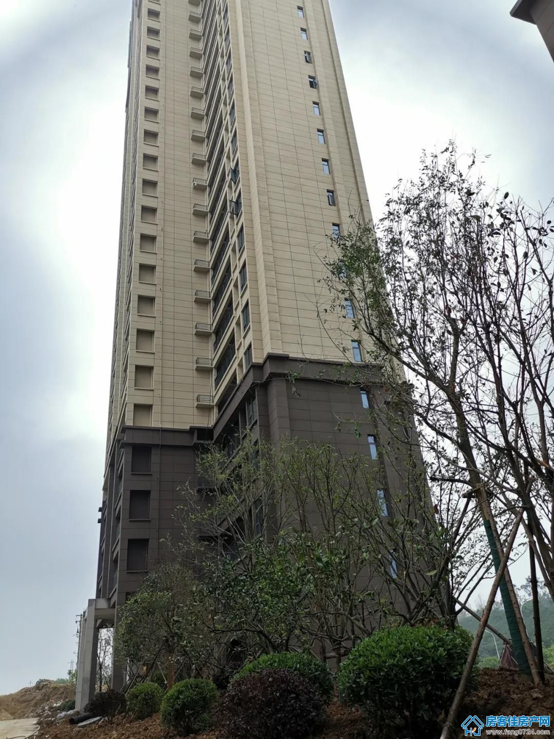 金樾府 金樾府