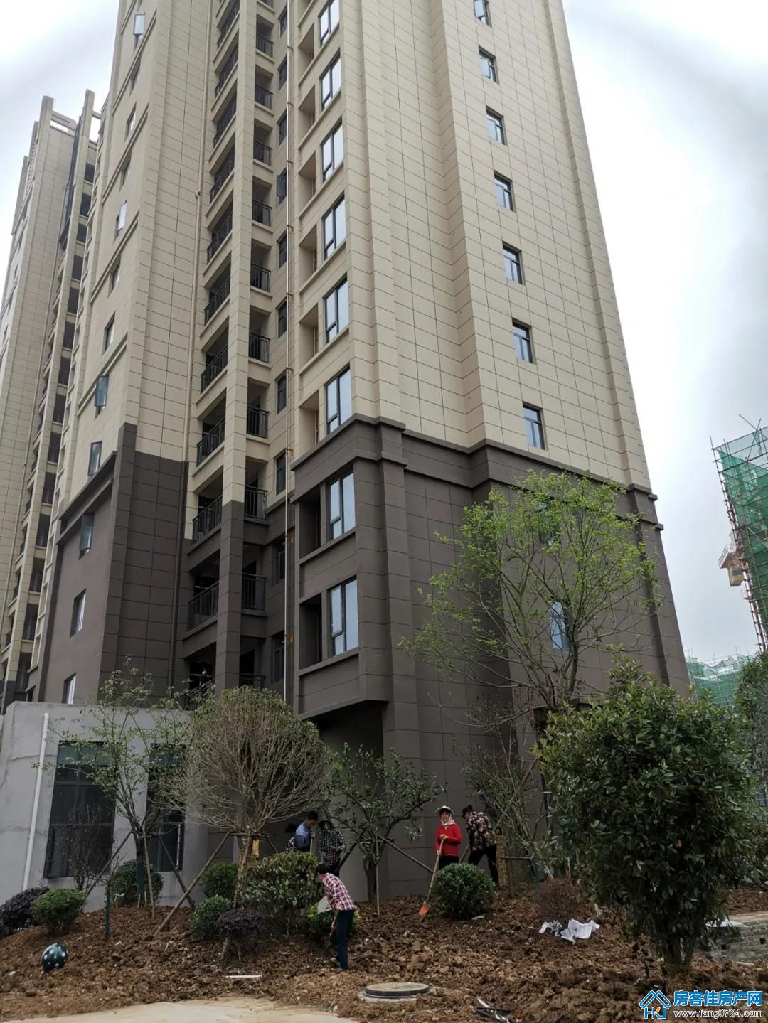 金樾府 金樾府