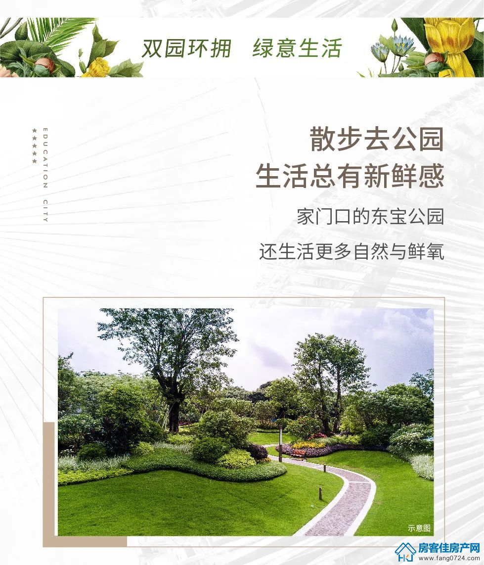 新鸥鹏教育城 新鸥鹏教育城