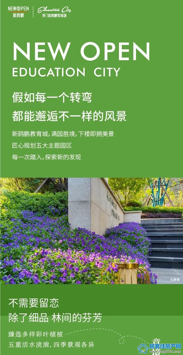 新鸥鹏教育城 新鸥鹏教育城