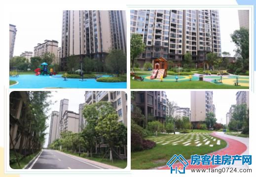 洋丰·凤凰香醍 洋丰·凤凰香醍