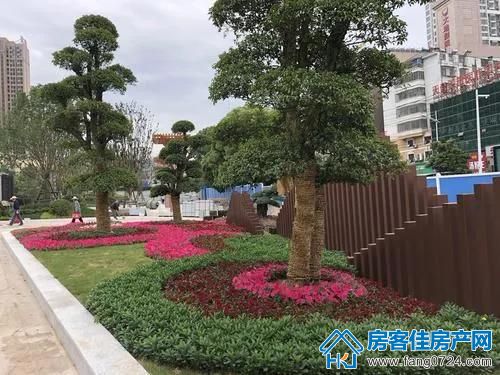 读书台广场 读书台广场
