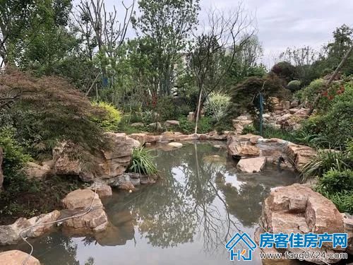 读书台广场 读书台广场