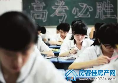 洋丰·凤凰香醍 洋丰·凤凰香醍