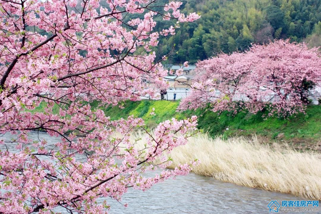 泓盈溪悦湾 泓盈溪悦湾
