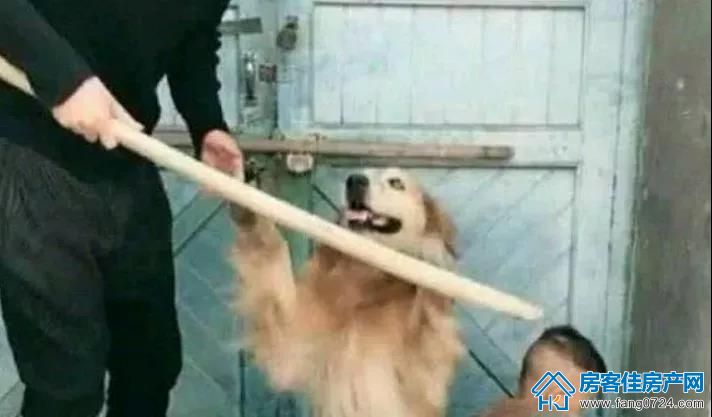恒大云湖上苑 恒大云湖上苑