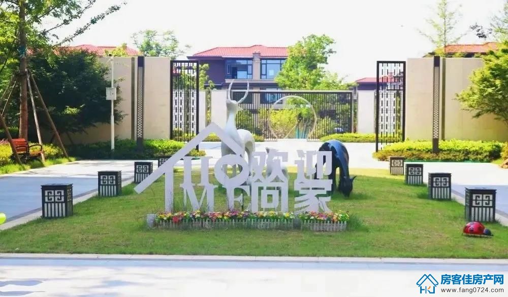 洋丰·凤凰香醍 洋丰·凤凰香醍