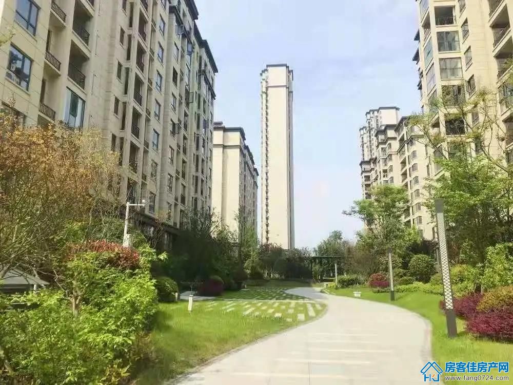 洋丰·凤凰香醍 洋丰·凤凰香醍