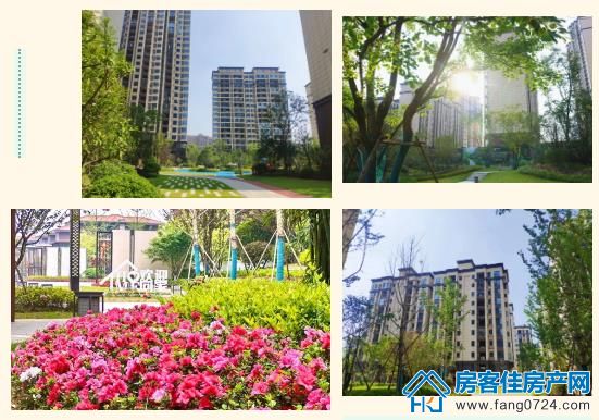 洋丰地产 洋丰地产
