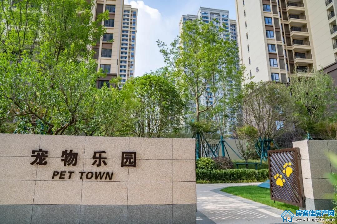 龙山中央商务区 龙山中央商务区