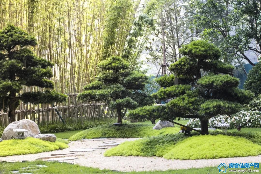 恒大云湖上苑 恒大云湖上苑