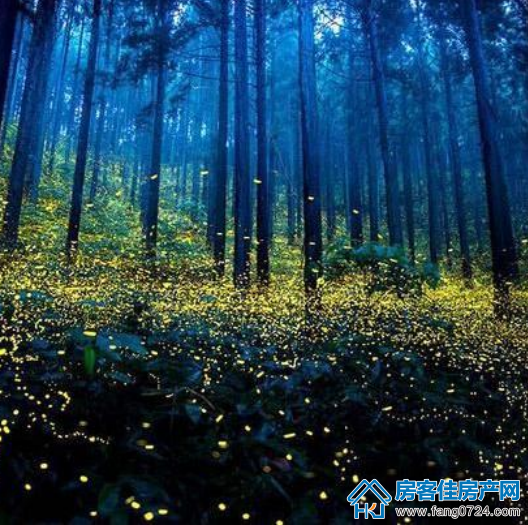 印象未来城 印象未来城