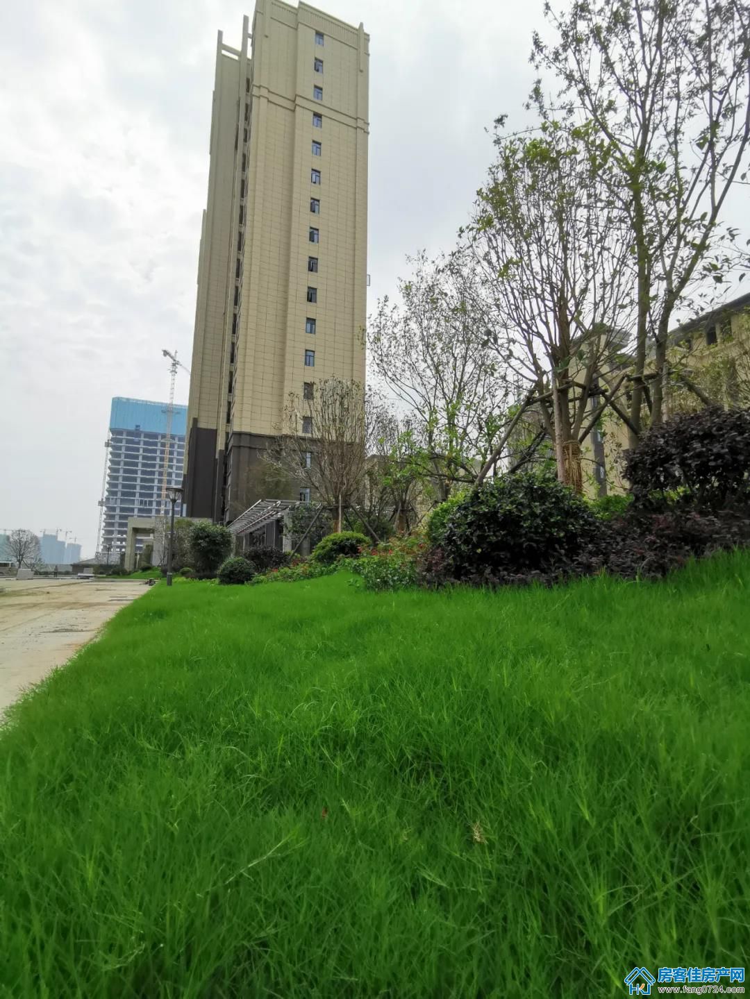汇金中心·金樾府 汇金中心·金樾府