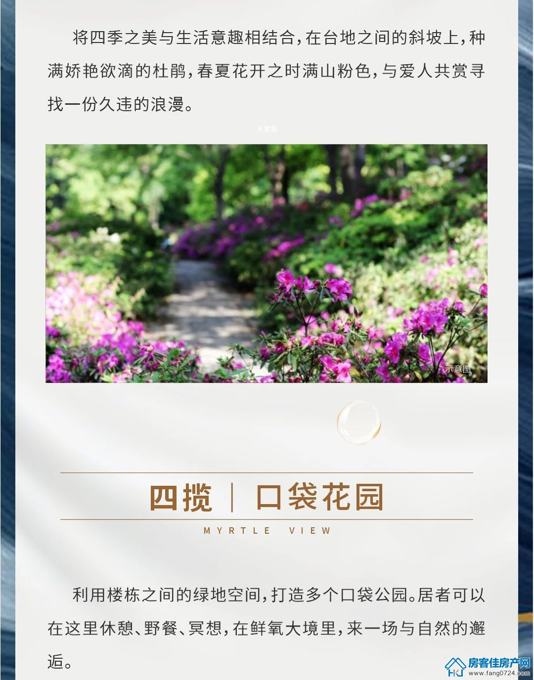 紫薇雅著 紫薇雅著