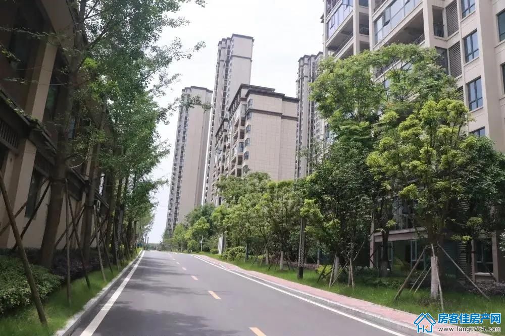 洋丰·凤凰香醍 洋丰·凤凰香醍