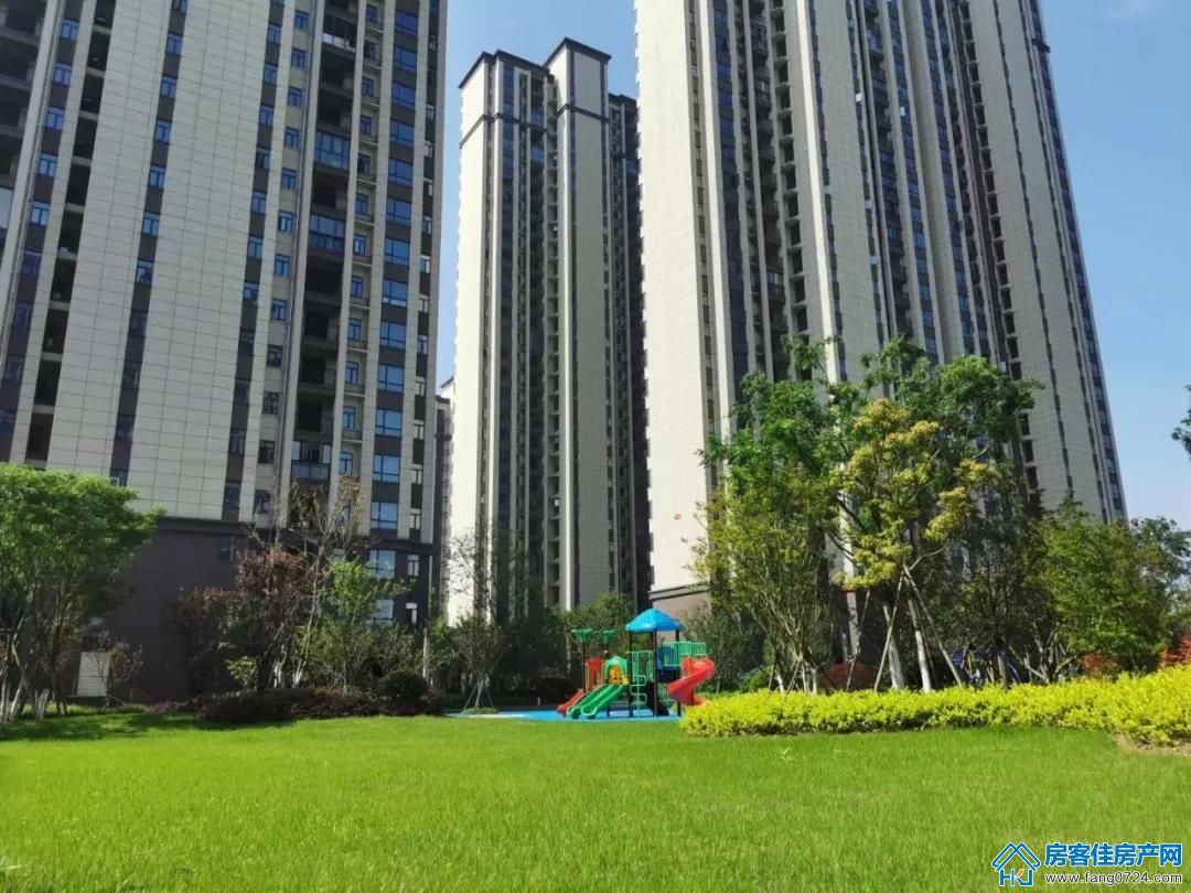 洋丰·凤凰香醍 洋丰·凤凰香醍
