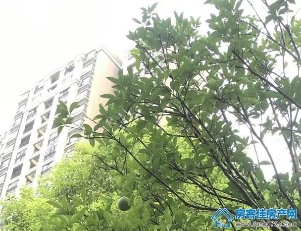 凯旋城 凯旋城