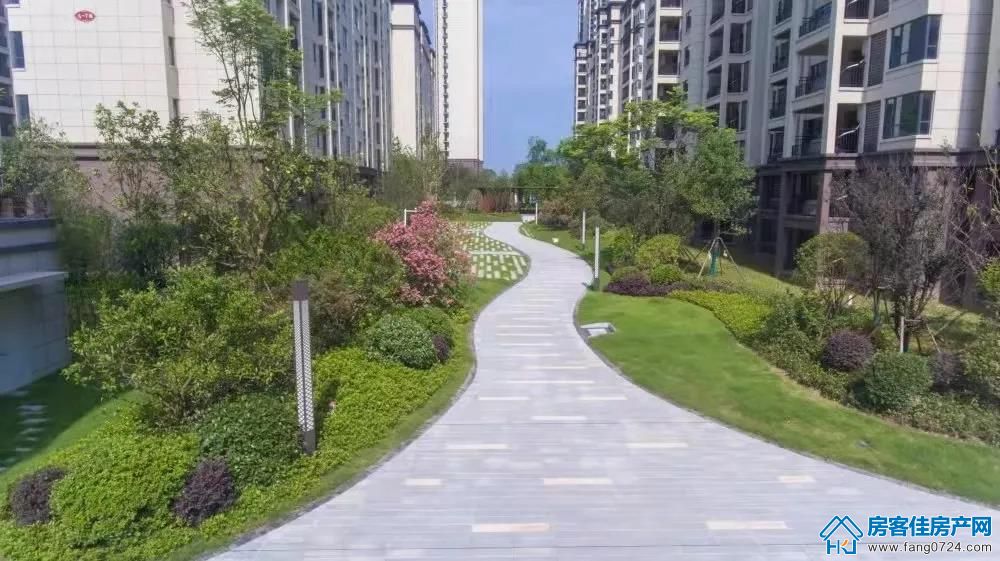 洋丰·凤凰香醍 洋丰·凤凰香醍