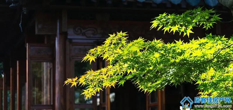 御湖半岛 御湖半岛