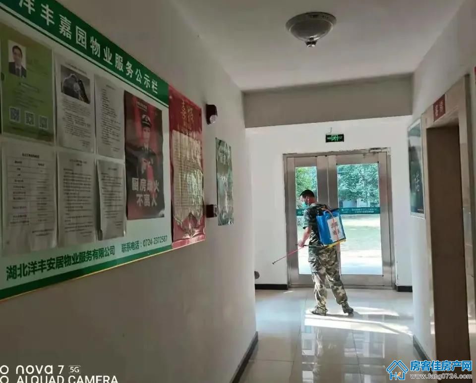 洋丰·凤凰香醍 洋丰·凤凰香醍