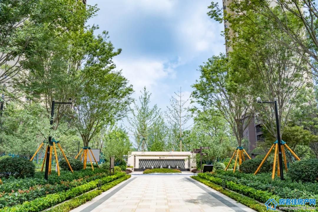 龙山中央商务区 龙山中央商务区