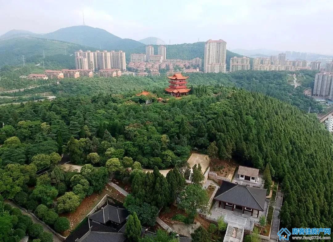 龙山中央商务区 龙山中央商务区