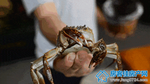 洋丰地产 洋丰地产