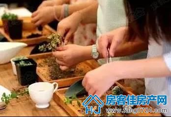 荆门天地 荆门天地