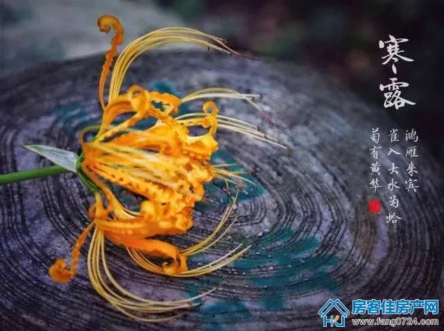 国华·温泉新城 国华·温泉新城