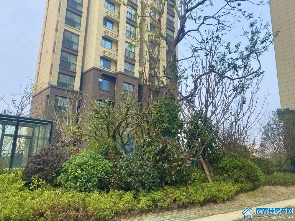 洋丰·象山玉园 洋丰·象山玉园
