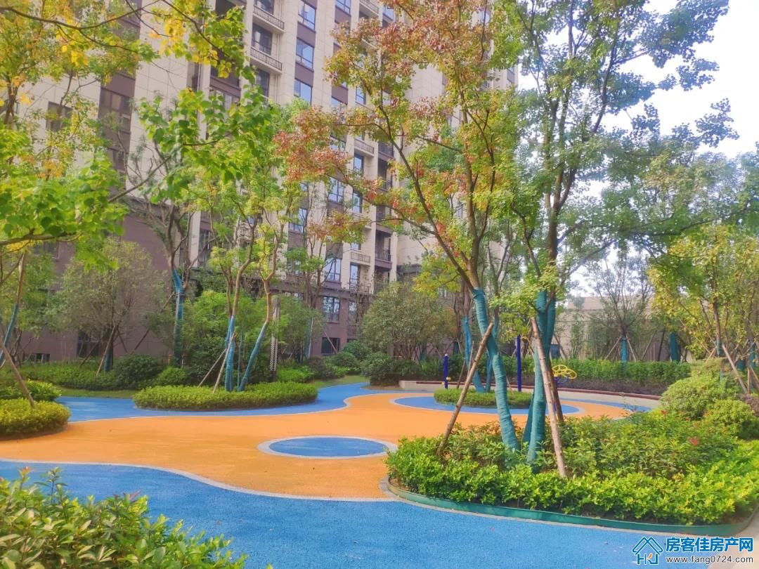 洋丰·凤凰香醍 洋丰·凤凰香醍