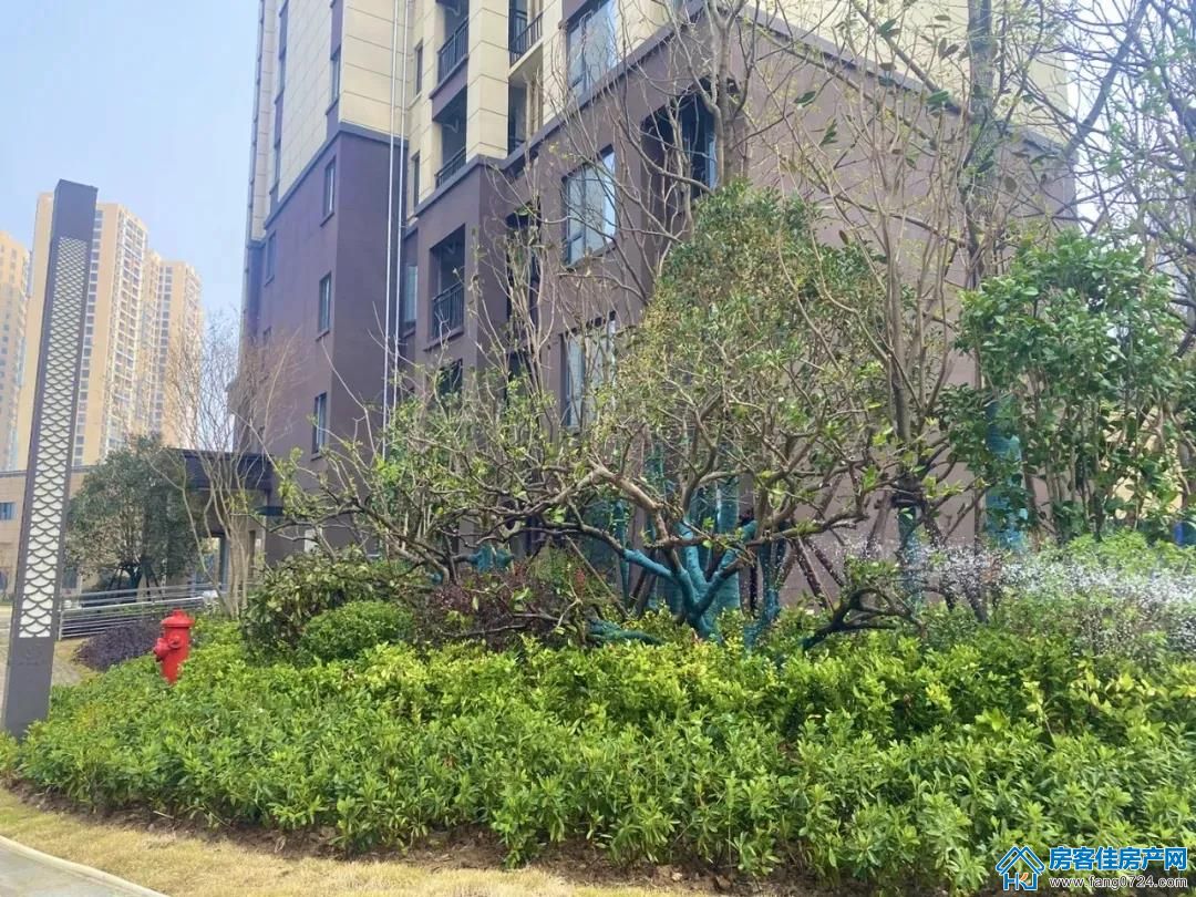 洋丰·象山玉园 洋丰·象山玉园