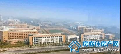 洋丰·凤凰香醍 洋丰·凤凰香醍