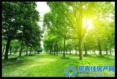 玲珑·紫悦蓝山 玲珑·紫悦蓝山