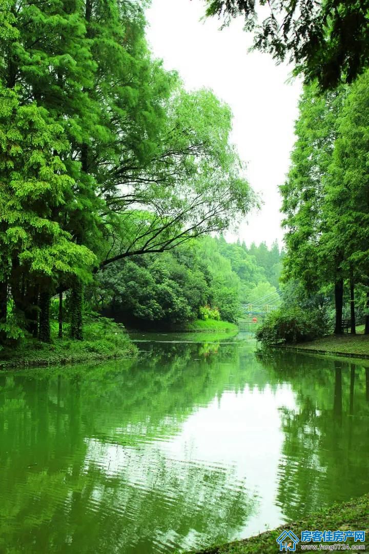 玲珑·紫悦蓝山 玲珑·紫悦蓝山