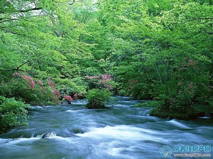 玲珑·紫悦蓝山 玲珑·紫悦蓝山