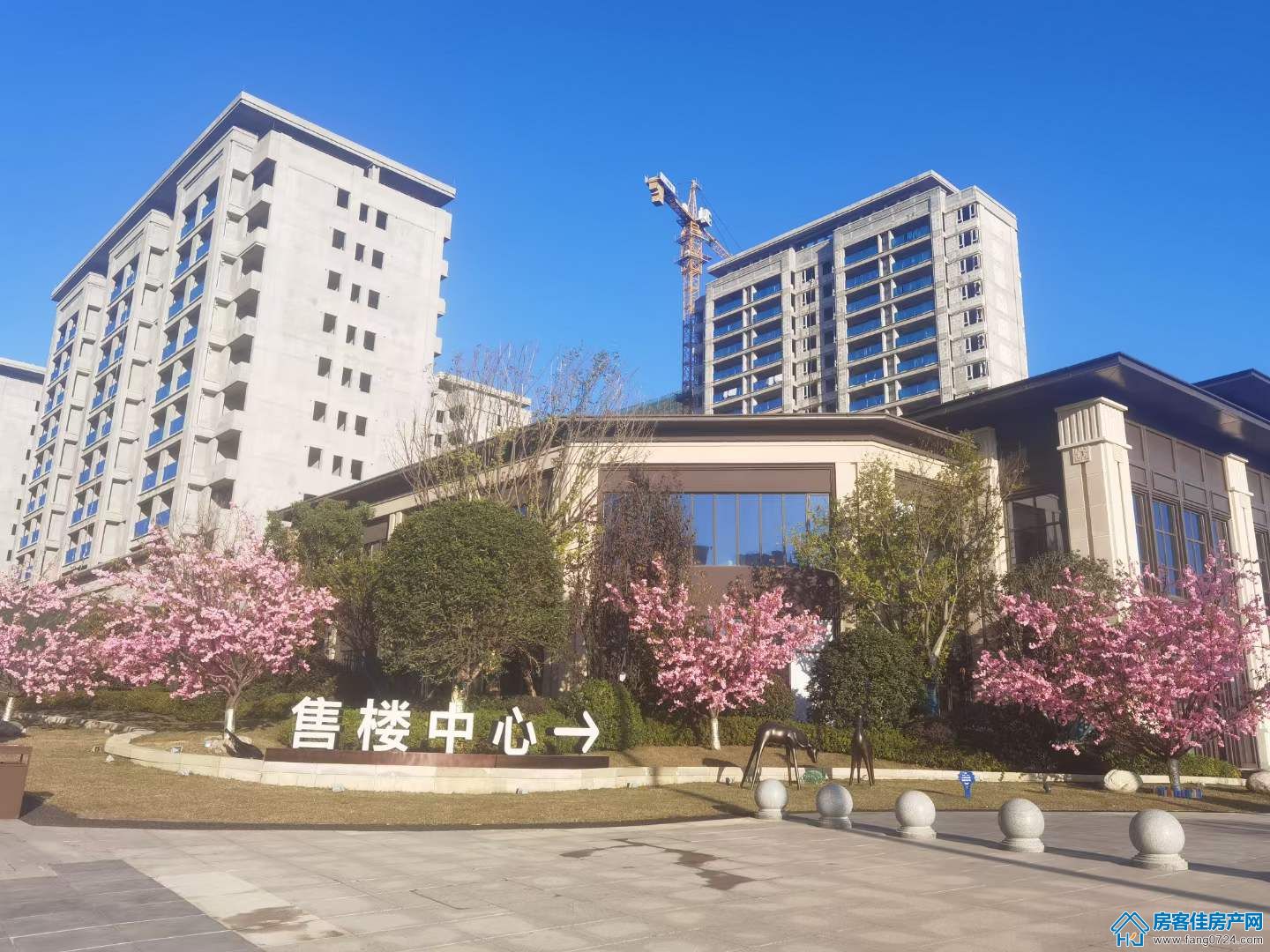 新鸥鹏教育城 新鸥鹏教育城
