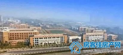 洋丰·凤凰香醍 洋丰·凤凰香醍