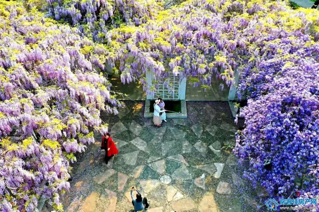 泓博·世纪首府 泓博·世纪首府