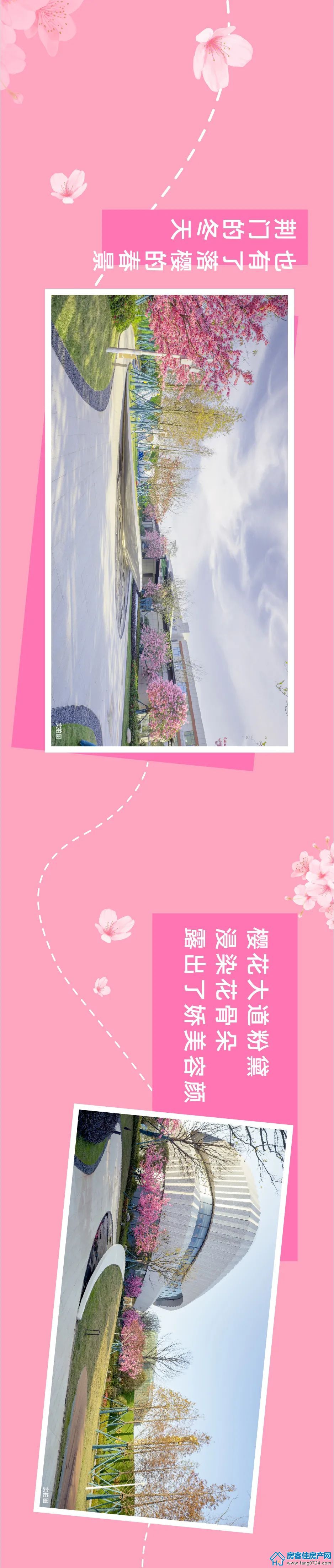 新鸥鹏教育城 新鸥鹏教育城