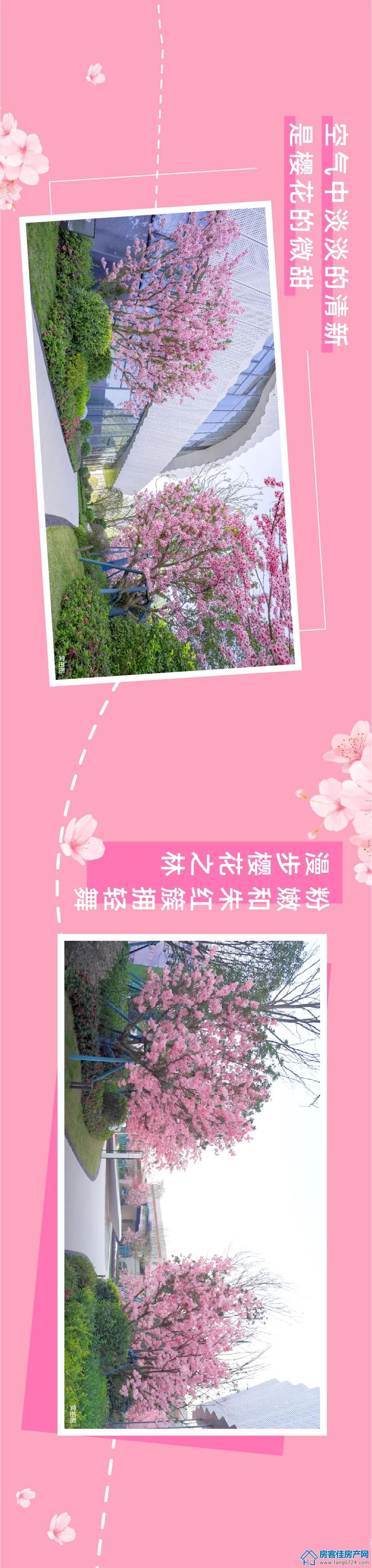 新鸥鹏教育城 新鸥鹏教育城