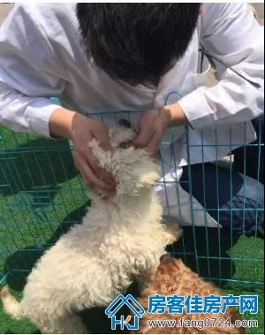 荆门碧桂园 荆门碧桂园