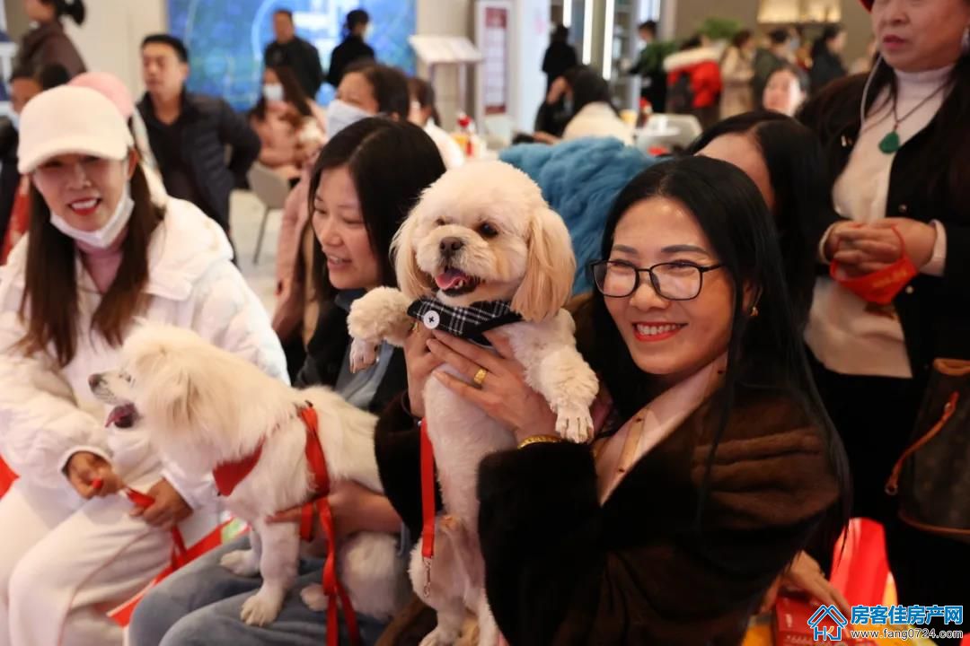 碧桂园楚悦台 碧桂园楚悦台