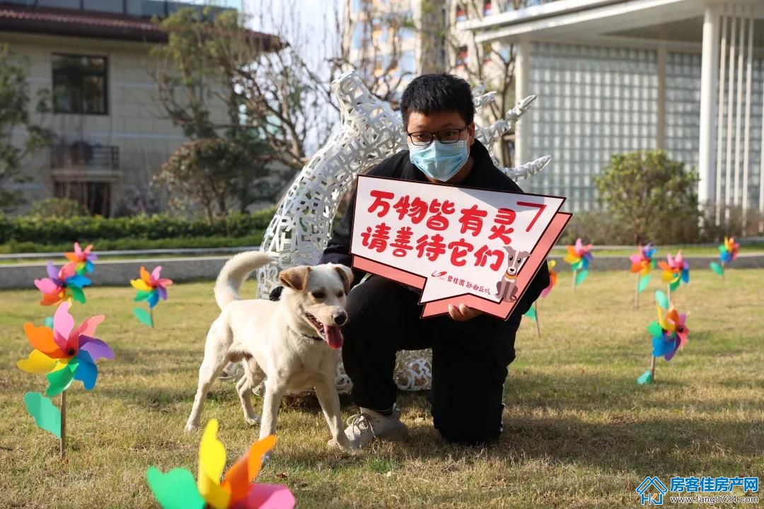 碧桂园楚悦台 碧桂园楚悦台