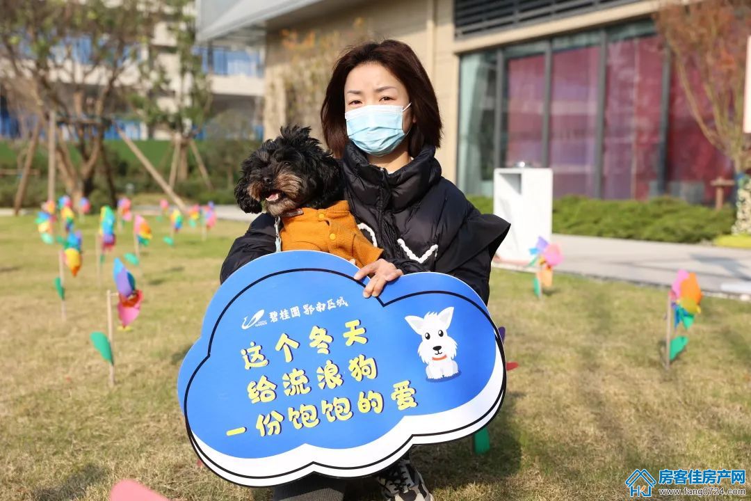 碧桂园楚悦台 碧桂园楚悦台